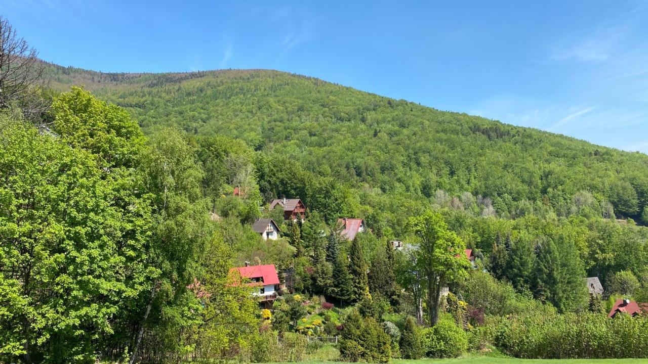 Miedzy Nami Apartamenty Щирк Экстерьер фото